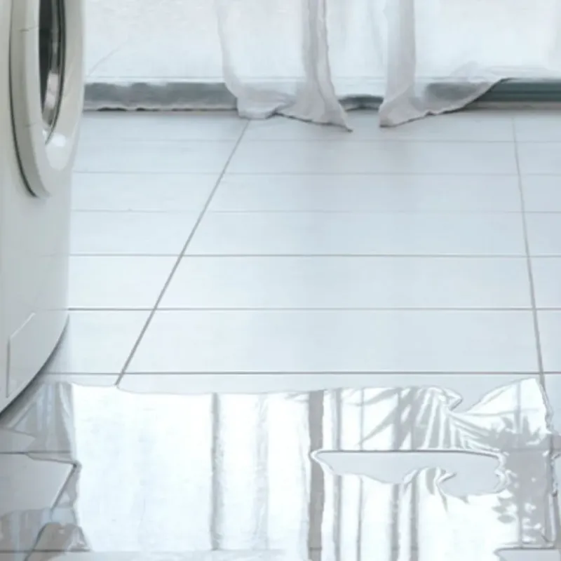 Appliance Leak Cleanup in Roanoke, IN