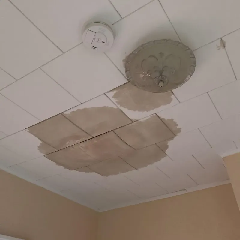 Ceiling Water Damage Repair in Roanoke, IN