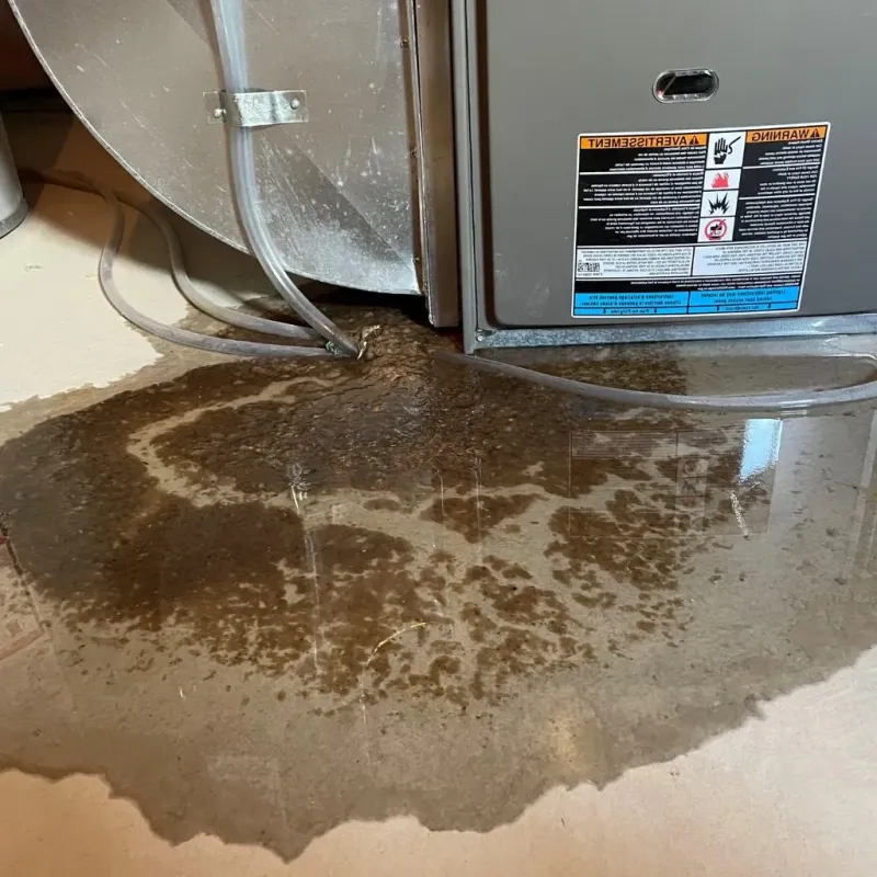 Pipe Burst and Leak Restoration in Roanoke, IN